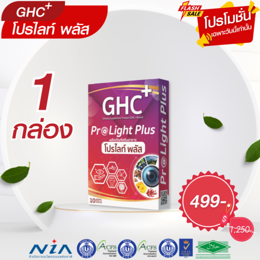 Prolight Plus
